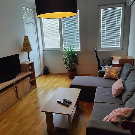 Apartman Aleksic นิส ภายนอก รูปภาพ
