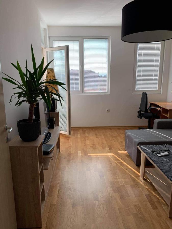 Apartman Aleksic นิส ภายนอก รูปภาพ