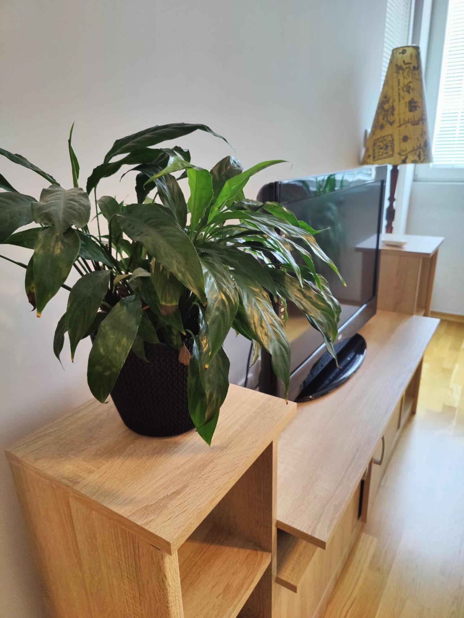 Apartman Aleksic นิส ภายนอก รูปภาพ