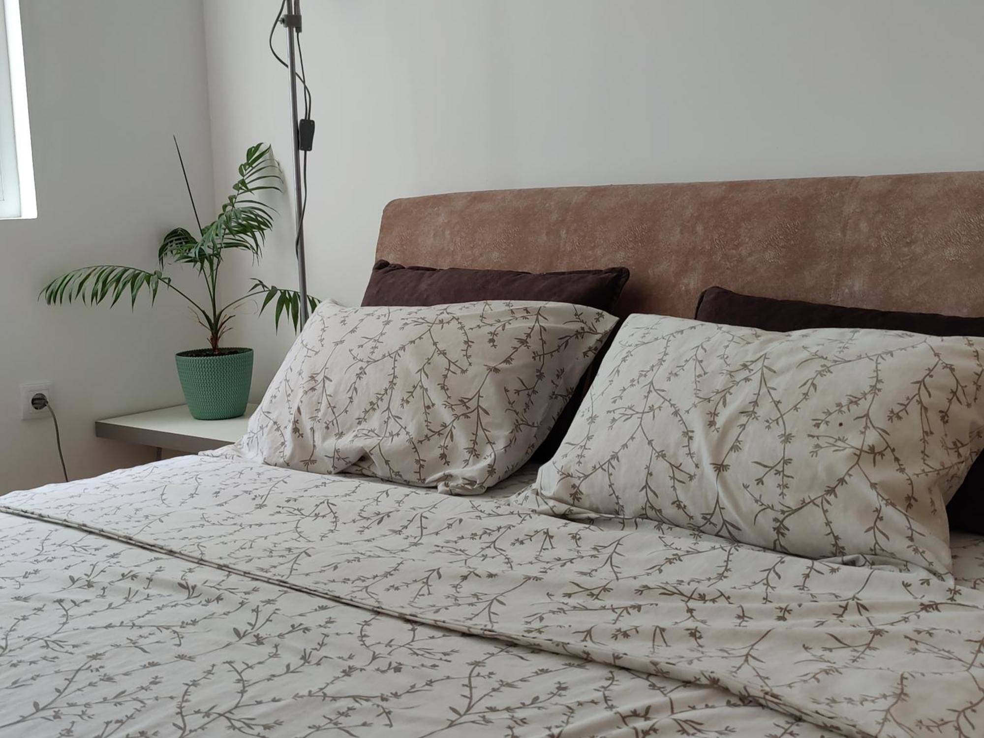 Apartman Aleksic นิส ภายนอก รูปภาพ